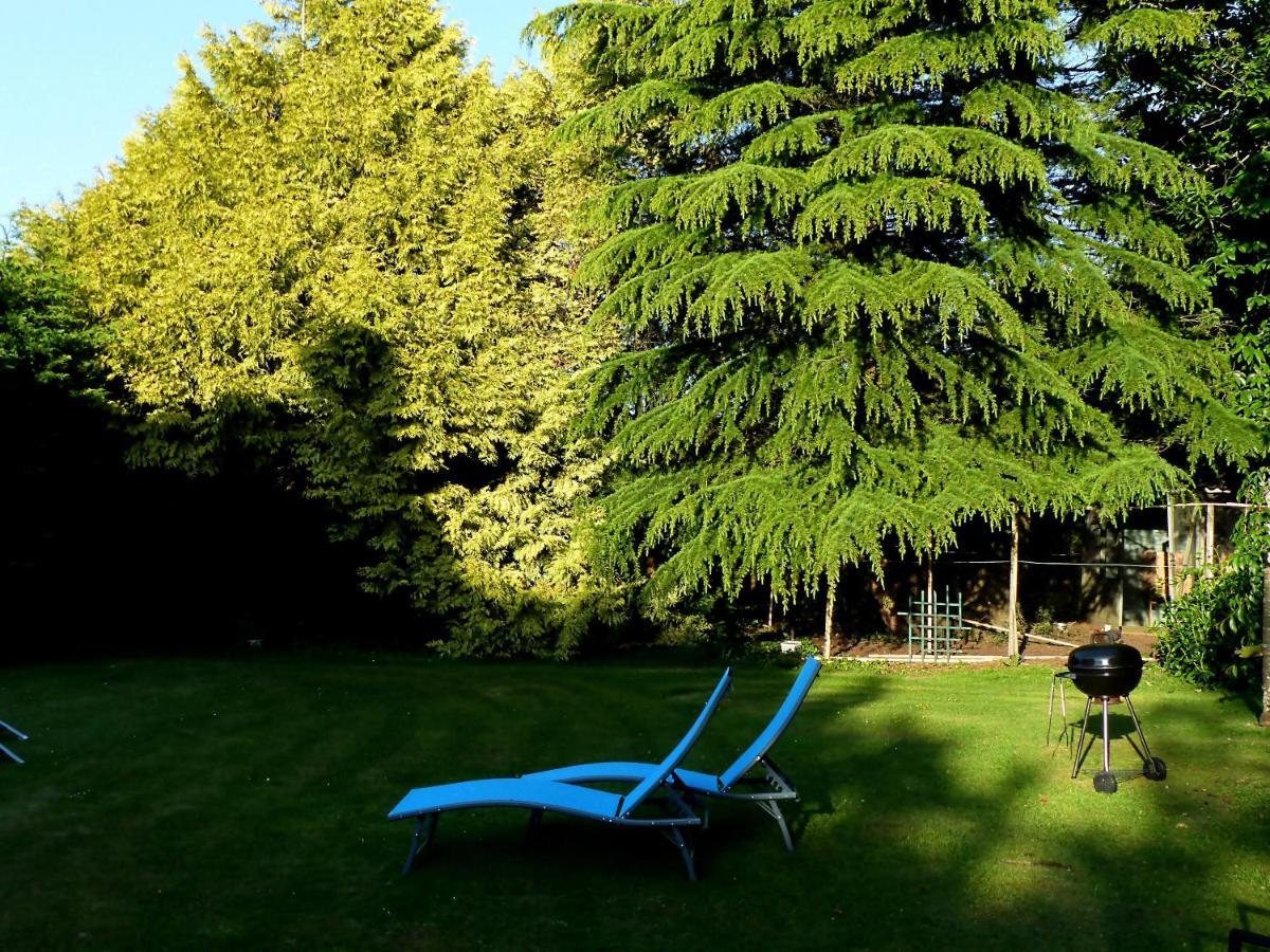 Ailes Et Iles Bed and Breakfast Pleudaniel Buitenkant foto