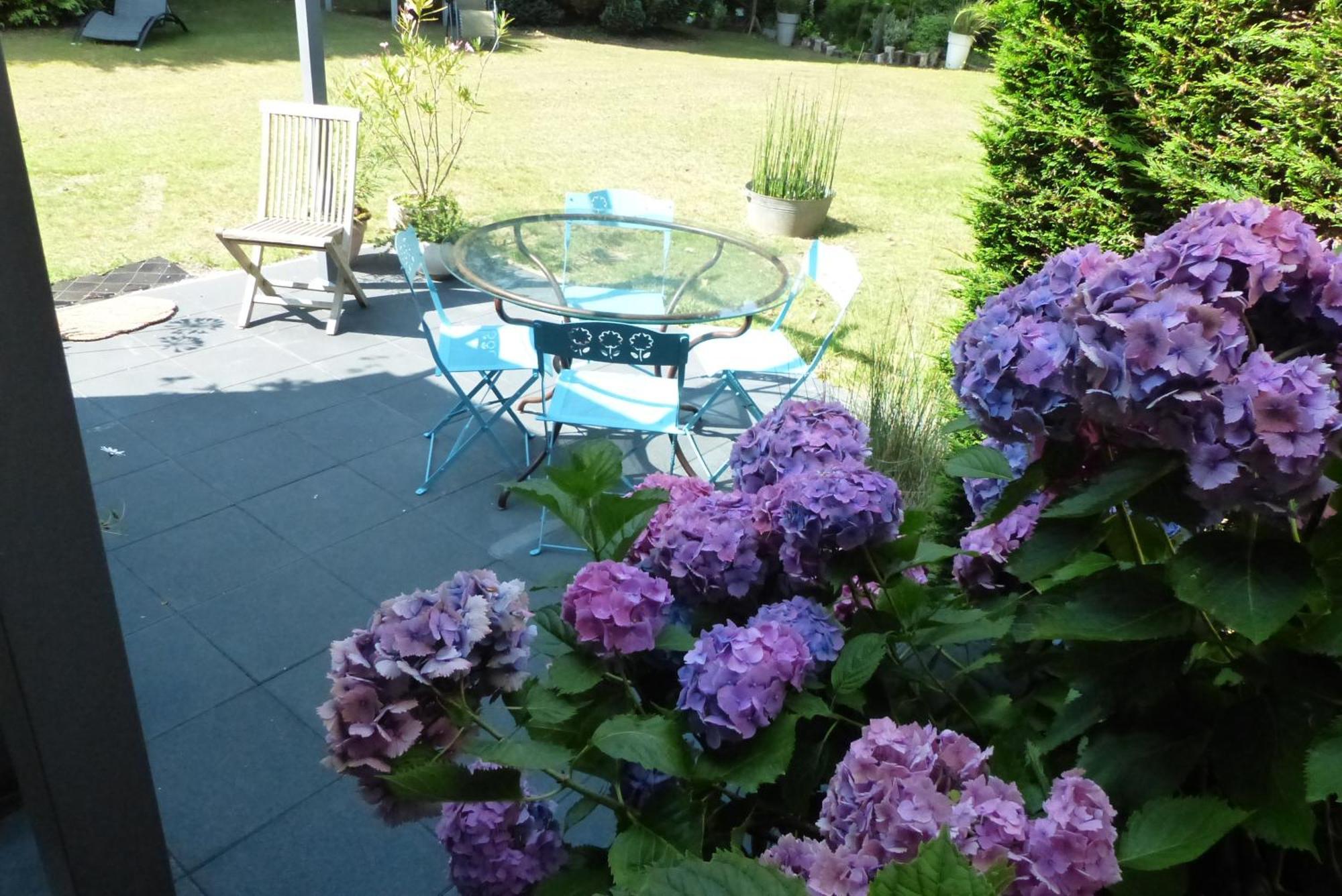 Ailes Et Iles Bed and Breakfast Pleudaniel Buitenkant foto